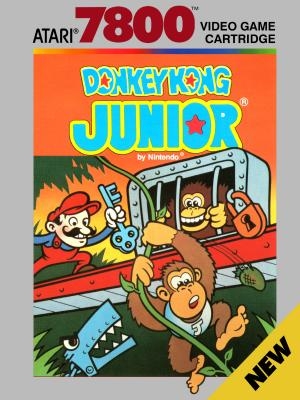 Donkey Kong Junior