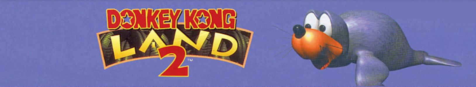 Donkey Kong Land 2 banner