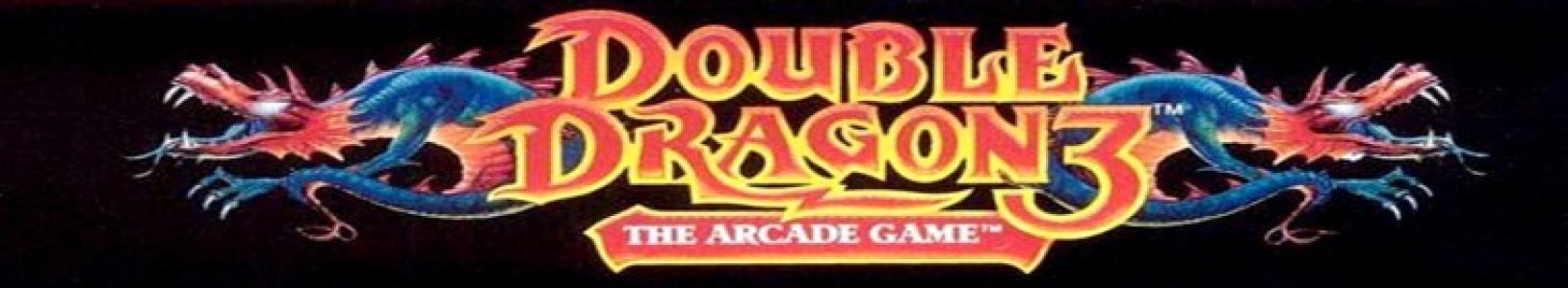 Double Dragon 3: The Arcade Game banner