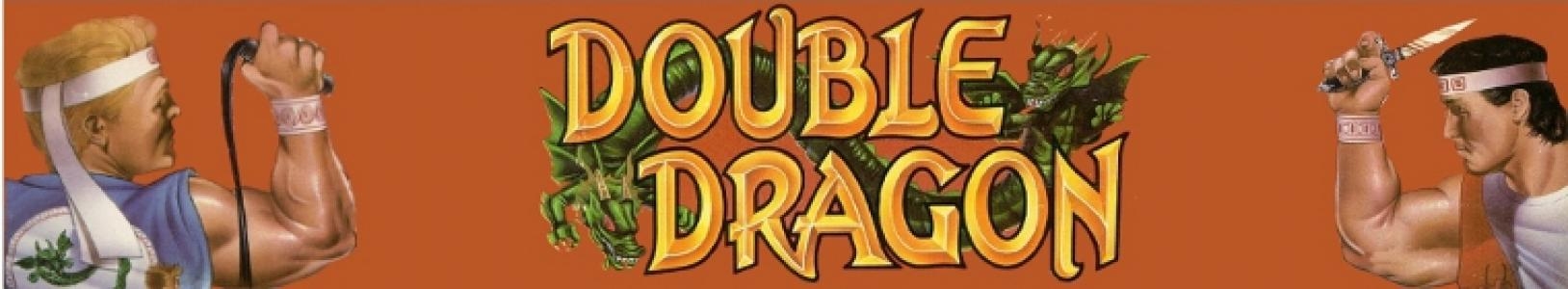 Double Dragon banner