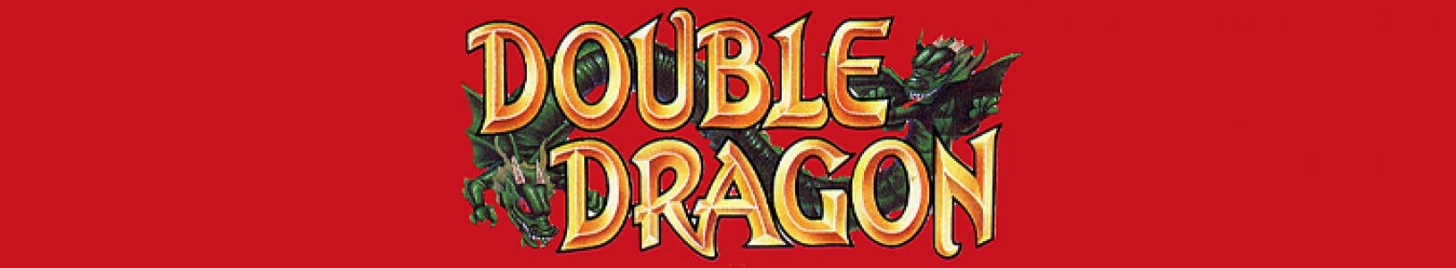 Double Dragon banner