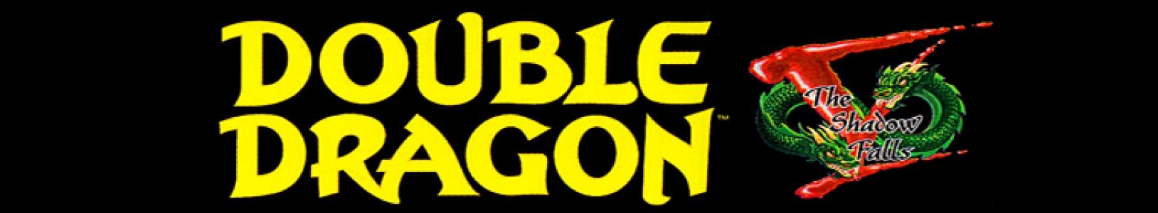 Double Dragon V: The Shadow Falls banner
