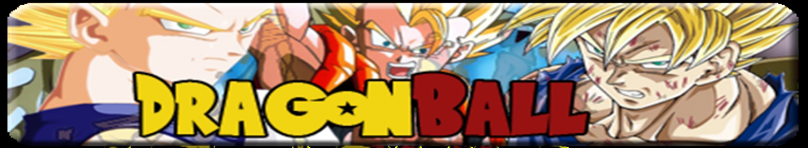 Dragon Ball Z: Budokai Tenkaichi 3 banner