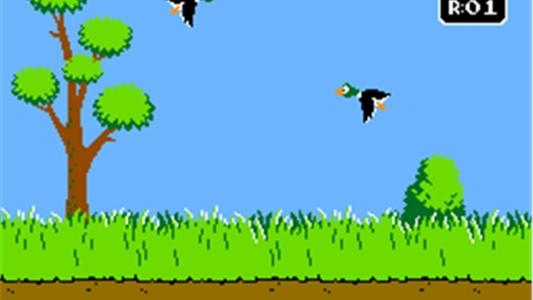 Duck Hunt screenshot