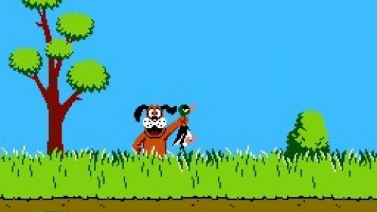 Duck Hunt screenshot