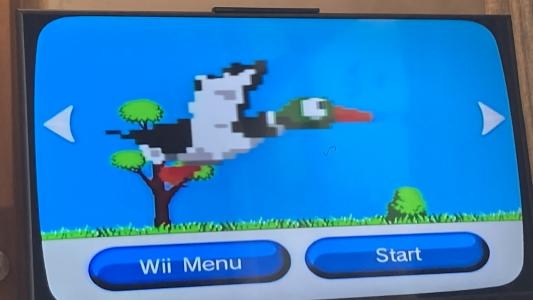 Duck Hunt screenshot