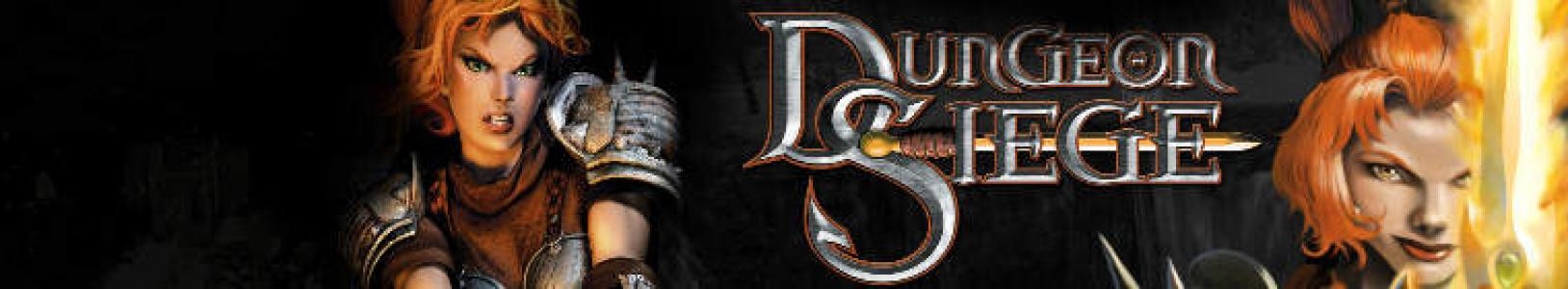 Dungeon Siege banner