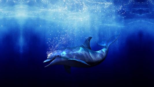 Ecco the Dolphin: Defender of the Future fanart