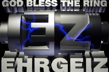 Ehrgeiz clearlogo