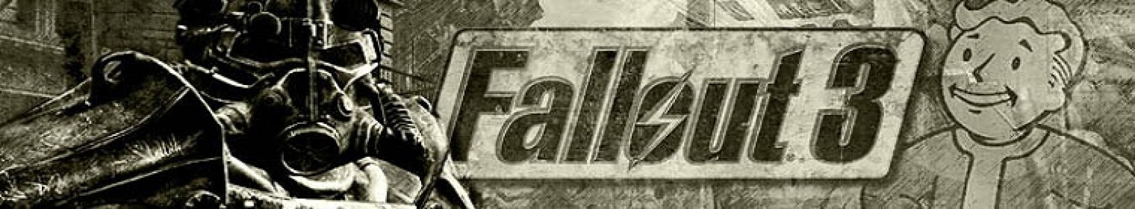 Fallout 3 banner