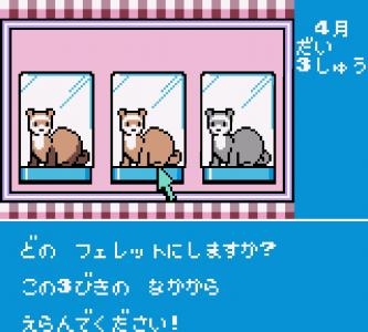 Ferret Monogatari: Watashi no Okiniiri screenshot