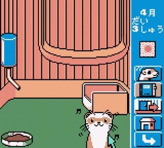 Ferret Monogatari: Watashi no Okiniiri screenshot