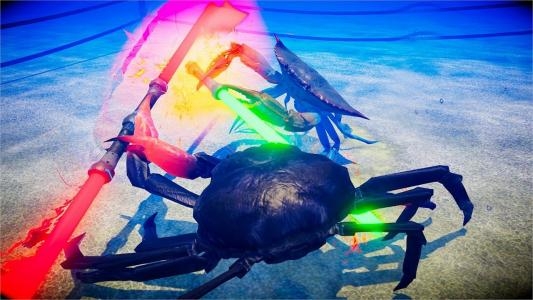 Fight Crab screenshot