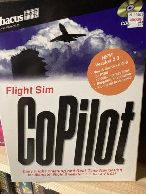 Flight Sim CoPilot