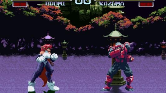 Galaxy Fight: Universal Warriors screenshot