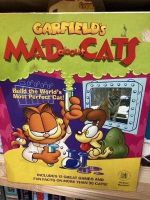 Garfield's Mad about Cats