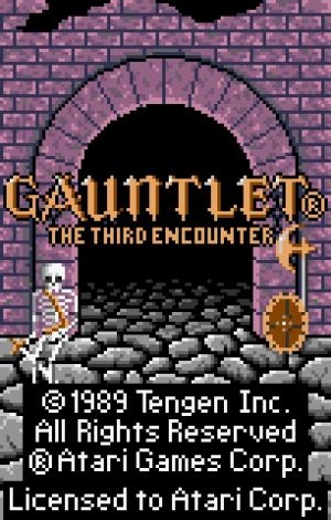 Gauntlet: The Third Encounter screenshot