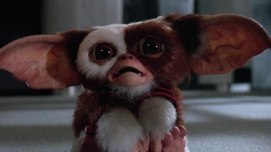 Gremlins: Stripe vs. Gizmo fanart