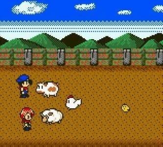 Harvest Moon 2 GBC screenshot