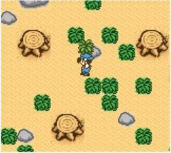 Harvest Moon 2 GBC screenshot