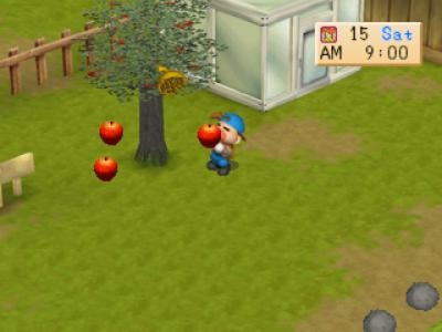 Harvest Moon: Back to Nature screenshot