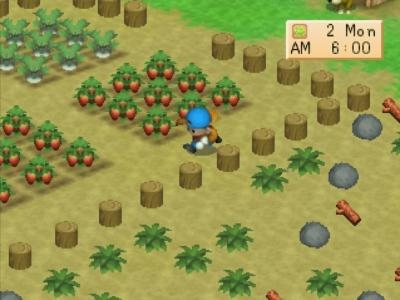 Harvest Moon: Back to Nature screenshot