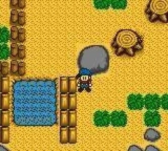 Harvest Moon GBC screenshot