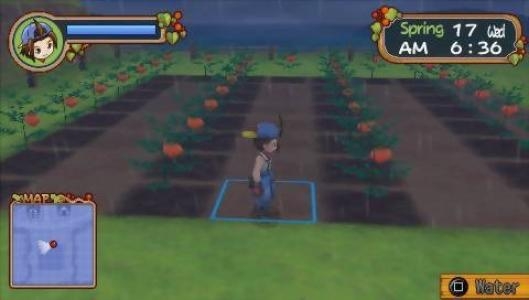 Harvest Moon: Hero of Leaf Valley screenshot