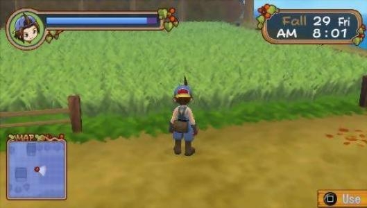 Harvest Moon: Hero of Leaf Valley screenshot