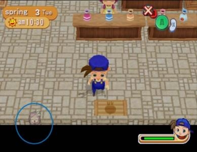 Harvest Moon: Magical Melody screenshot