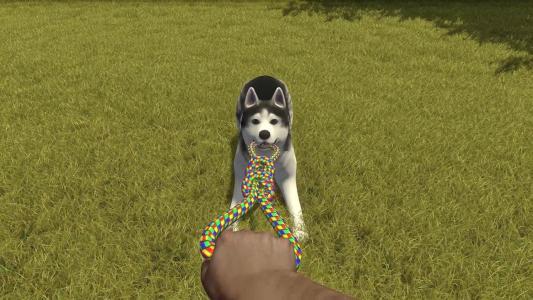 House Flipper: Pets Edition screenshot