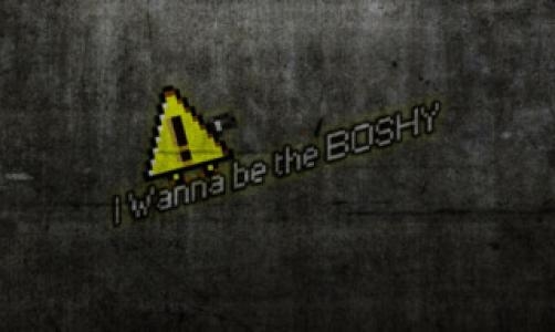 I Wanna Be The Boshy