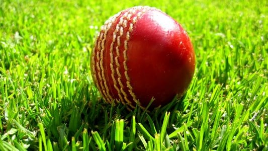 International Cricket fanart