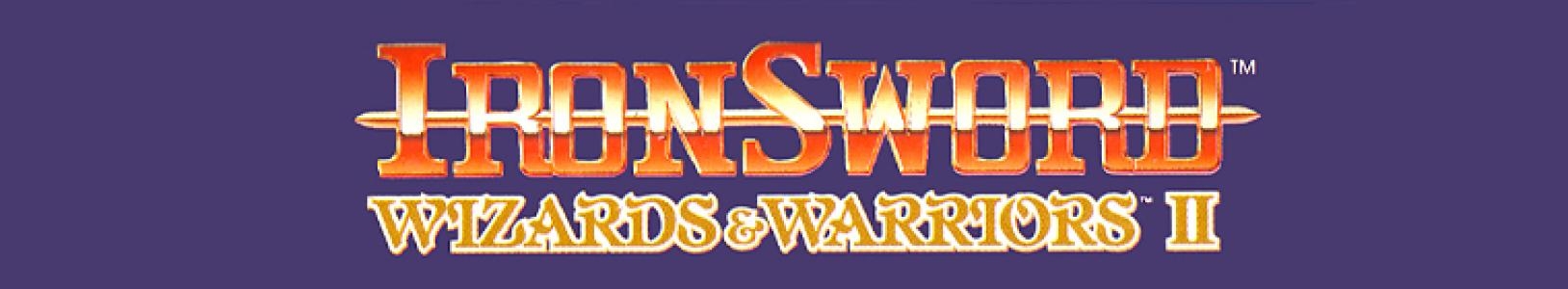 Ironsword: Wizards & Warriors II banner