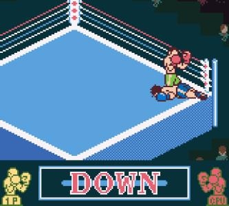 K.O.: The Pro Boxing screenshot