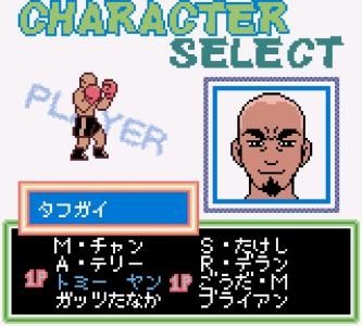 K.O.: The Pro Boxing screenshot