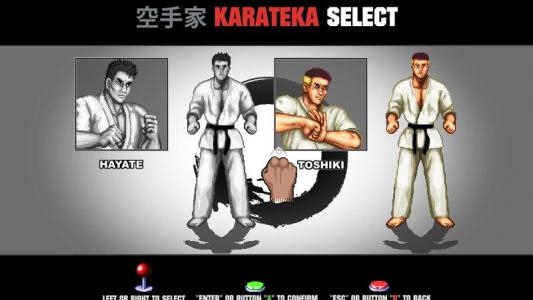 Karate Master Knock Down Blow screenshot