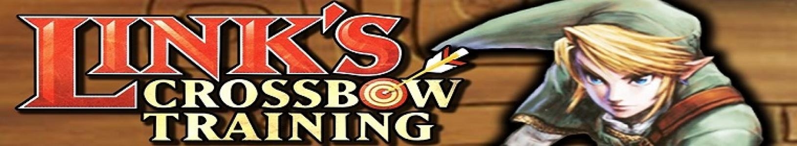 Link's Crossbow Training banner