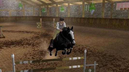 Lucinda Green's Equestrian Challenge screenshot