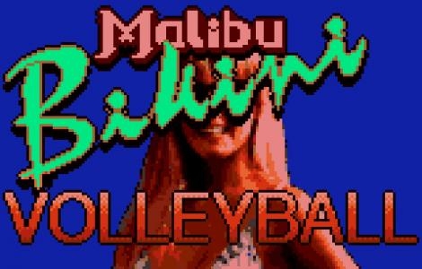 Malibu Bikini Volleyball screenshot