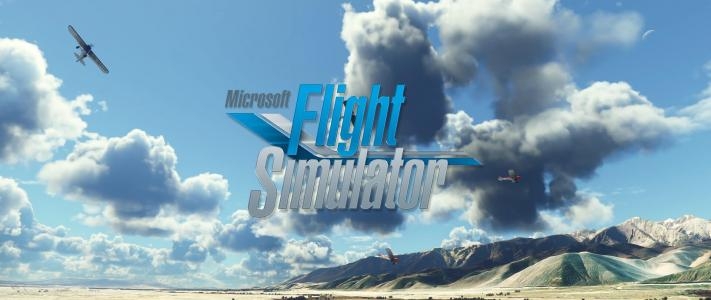 Microsoft Flight Simulator banner