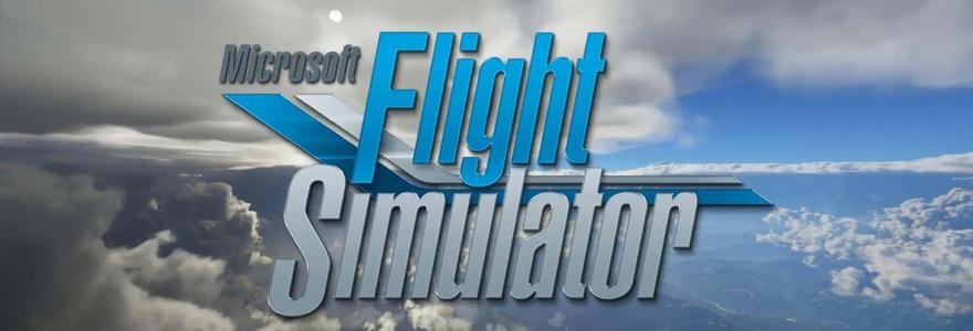 Microsoft Flight Simulator: Standard banner