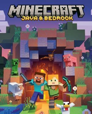 Minecraft: Java & Bedrock