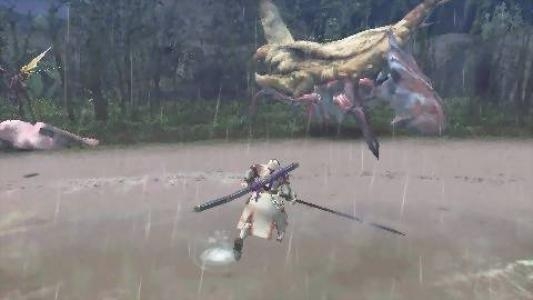 Monster Hunter Freedom 2 screenshot