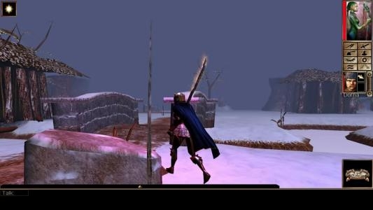 Neverwinter Nights: Enhanced Edition screenshot