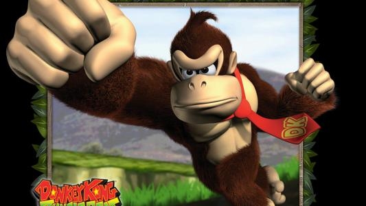 New Play Control! Donkey Kong Jungle Beat fanart