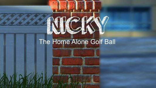 Nicky - The Home Alone Golf Ball