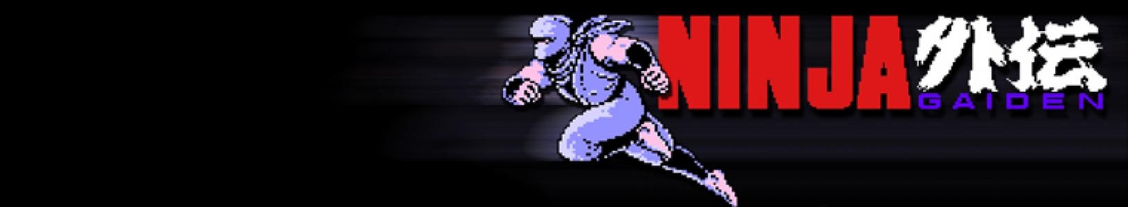 Ninja Gaiden banner