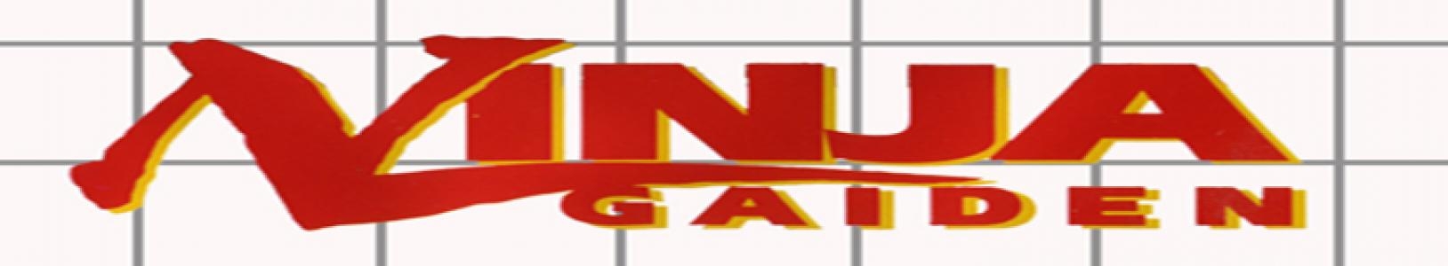 Ninja Gaiden banner