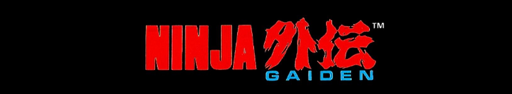 Ninja Gaiden banner